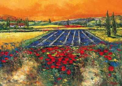 Array Provence von Madjid