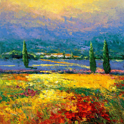 Array Provence II von Madjid