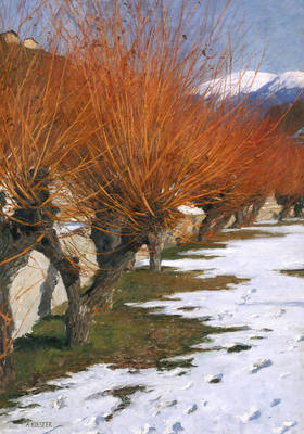 Array Weiden in der Wintersonne von Alexander Koester