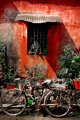 Array Indian Bicycle von Gill Copeland