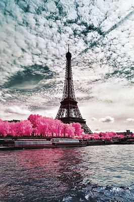 Array IR'on Lady, Paris von Tonee Gee
