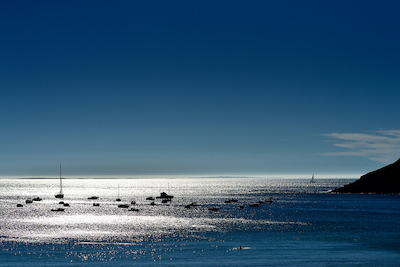 Array Bleu marine von Georges-Félix Cohen