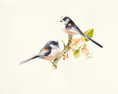 Array Longtailed Tits von Hilary Mayes