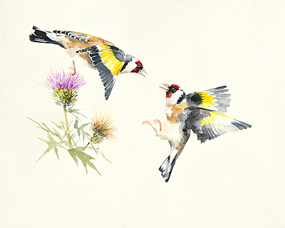 Array Goldfinches von Hilary Mayes
