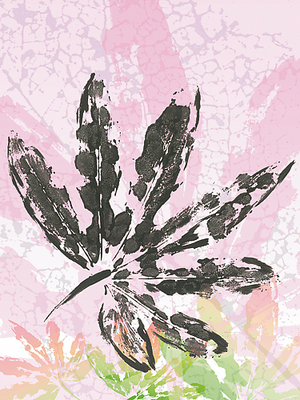 30cm x 40cm Leaf Study rose III von SARA Design
