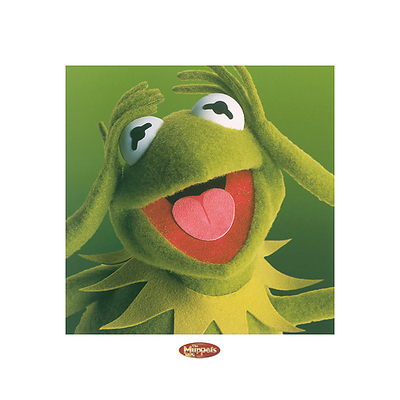 40cm x 40cm The Muppets (Kermit) von Muppets Studio