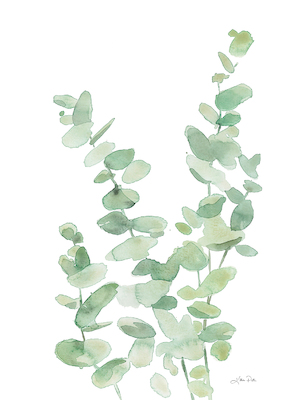 30cm x 40cm Eucalyptus II von Katrina Pete