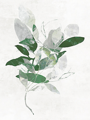 30cm x 40cm Emerald Botanics I von PI Studio