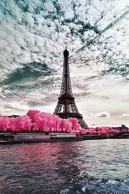 61cm x 91.5cm IR´on Lady, Paris von Tonee Gee