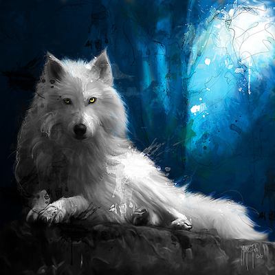 30cm x 30cm Cheyenne La Loup Blanc von Patrice Murciano