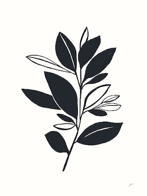 Array Bay Leaves II von Karyn Panganiban