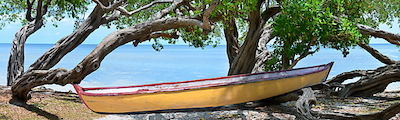 Array Yeloow Bird Boat von Steve Vaughn