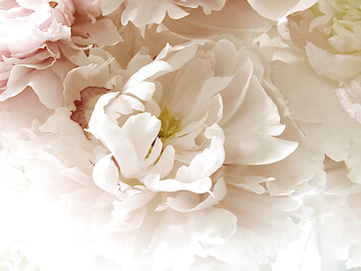 Array Froth von Judy Stalus