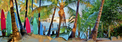 Array Island Style von Jack Reed