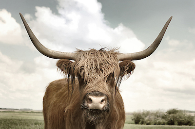 Array On the Ranch IV von Andre Eichman