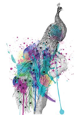 Array Peacock von Karin Roberts