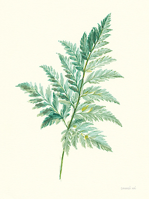 Array Leaf Study I von Danhui Nai