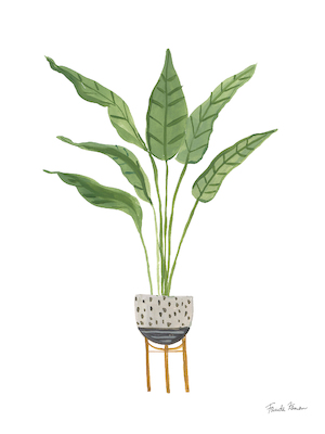 Array Green House Plants III von Farida Zaman