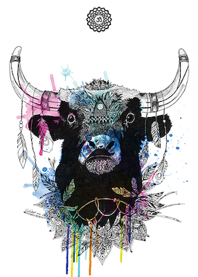 71.4cm x 100cm Bull von Karin Roberts