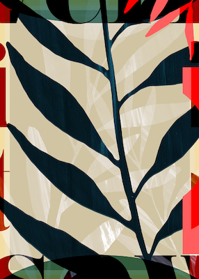 Array Botany Abstraction III von Aoibhne Hogan
