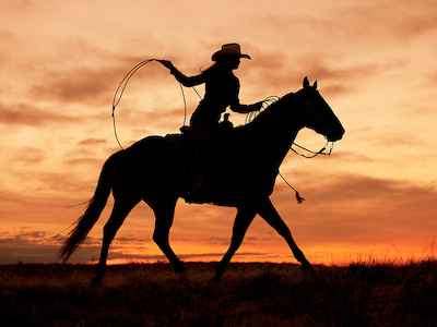 Array Cowgirl Silhouette von J.C. Leacock