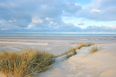 Array Les dunes XIV von Georges-Félix Cohen