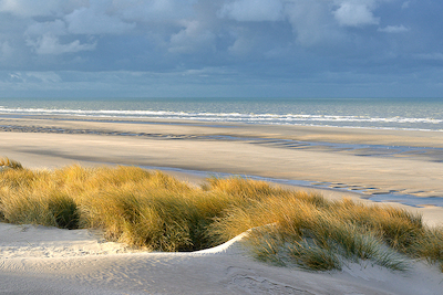Array Les dunes XIII von Georges-Félix Cohen