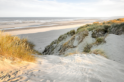 Array Les dunes XII von Georges-Félix Cohen