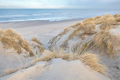Array Les dunes - pastel von Georges-Félix Cohen