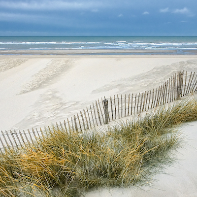 Array Les Dunes IX von Georges-Félix Cohen