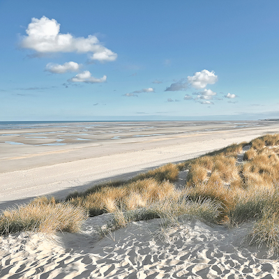 Array Les Dunes VIII von Georges-Félix Cohen