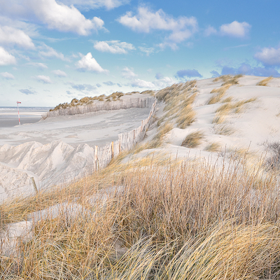 Array Les Dunes VII von Georges-Félix Cohen