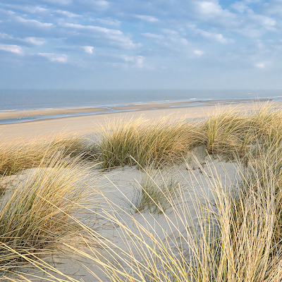 Array Les Dunes VI von Georges-Félix Cohen