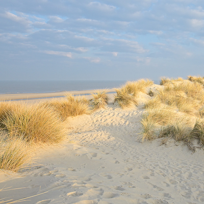 Array Les Dunes V von Georges-Félix Cohen