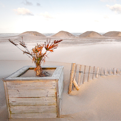 90cm x 90cm La magie des dunes von Georges-Félix Cohen