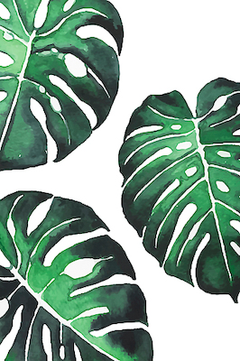 Array Monstera III von Sisi & Seb