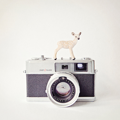 Array Deer & Vintage Camera von ANNA