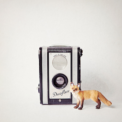 Array Fox & Vintage Camera von ANNA