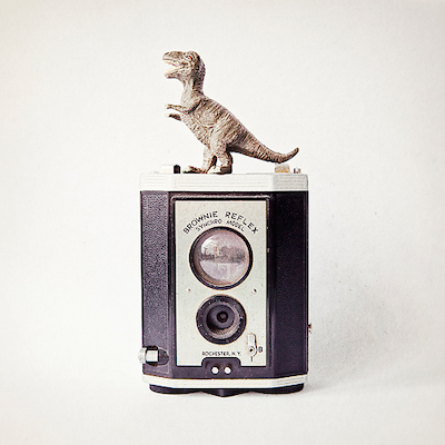 Array T-Rex & Vintage Camera von ANNA