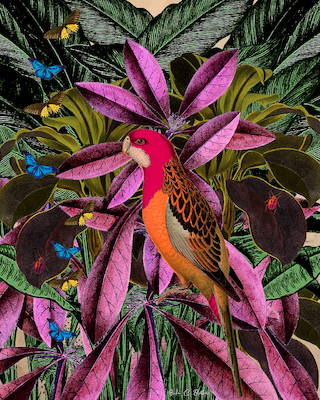 Array Tropical Jungle No.2 von Erika C. Brothers