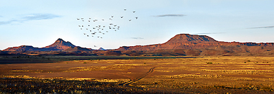 Array Damaraland von Peter Hillert