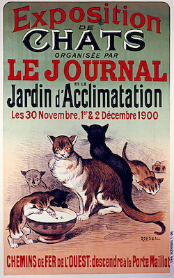 Array Exposition De Chats von Roedel