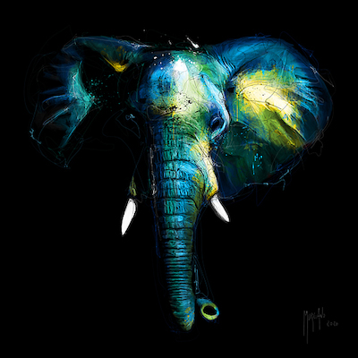 Array Wild Light von Patrice Murciano