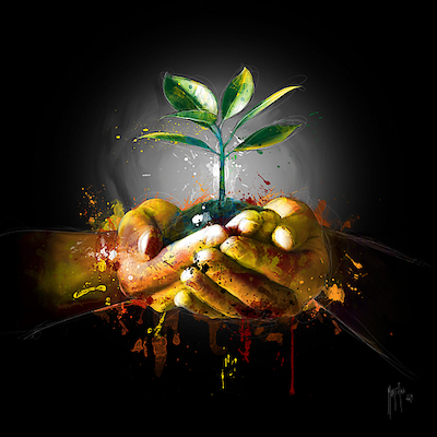 Array Amazonia von Patrice Murciano