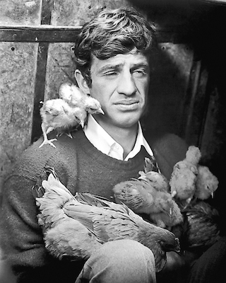 Array Jean Paul Belmondo von Hollywood Photo Archive