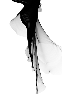 Array Black and White Modern Minimal 27 von Irena Orlov
