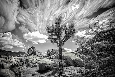 Array Three Hour Wind von Ryan Hartson-Weddle