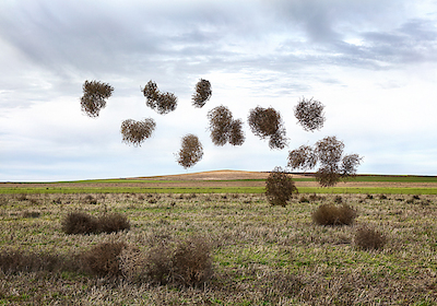 Array Pause Número II von Miguel Vallinas Prieto