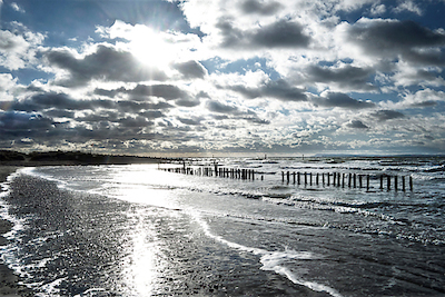 Array Glistening Shoreline von Gill Copeland