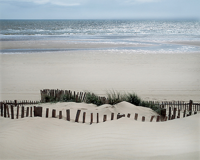 Array Feel the Ocean von Gill Copeland